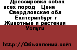 Дрессировка собак всех пород › Цена ­ 500 - Свердловская обл., Екатеринбург г. Животные и растения » Услуги   